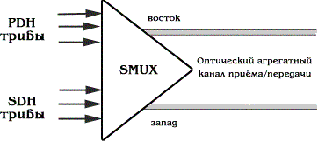 Рисунок 10.1. Синхронный мультиплексор (SMUX): терминальный мультиплексор ТМ или мультиплексор ввода/вывода ADM