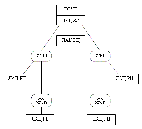 Рисунок 2.2. Структура внутризоновой первичной сети