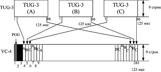 Рисунок 2.5. Распределение TUG-3 в VC-4