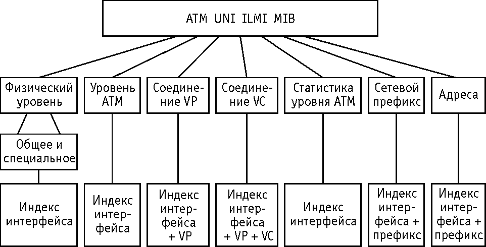 Рисунок 9.3. Структура MIB АТМ